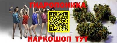 apvp Волжский