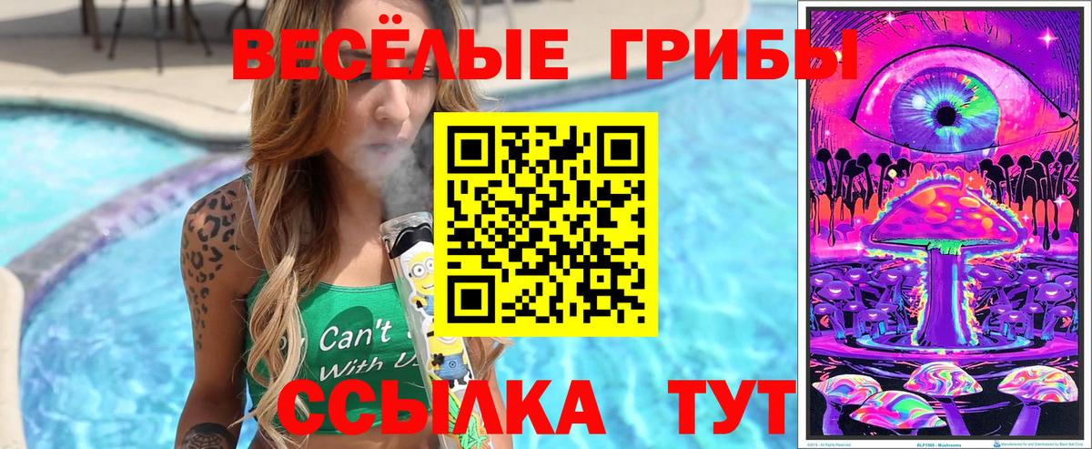 Псилоцибиновые грибы ЛСД Мценск